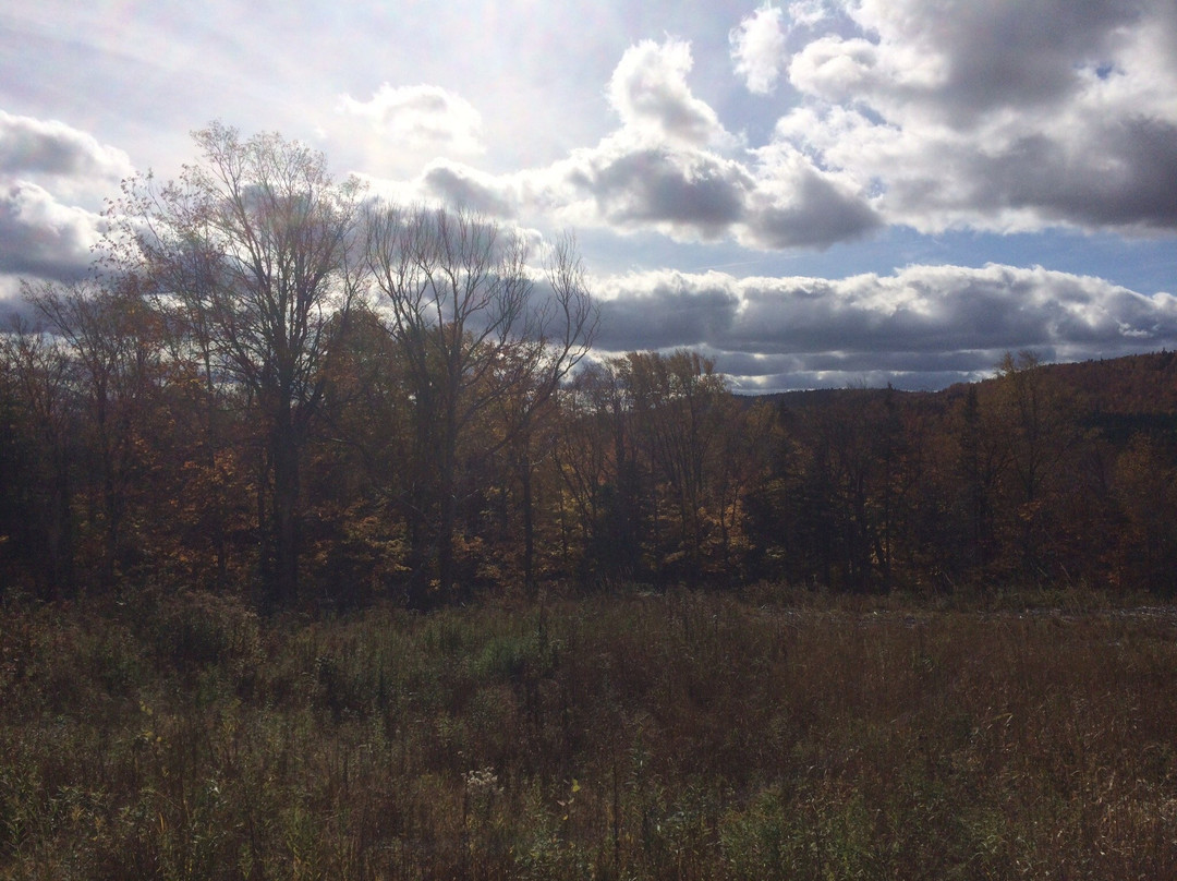 Garfield Falls-Pittsburg必去景点