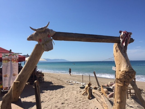 My Tours Vallarta-瓦拉塔港必去景点