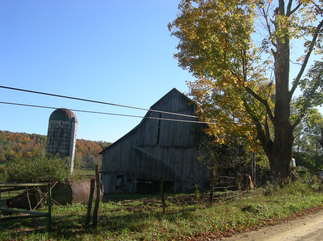 Patterson Farms景点图片