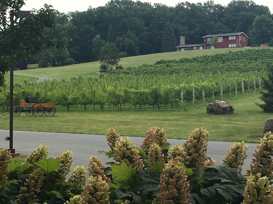 Clover Hill Vineyards & Winery景点图片