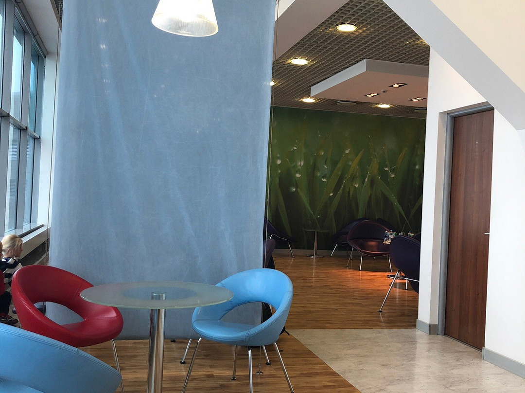 Domodedovo Aero主图