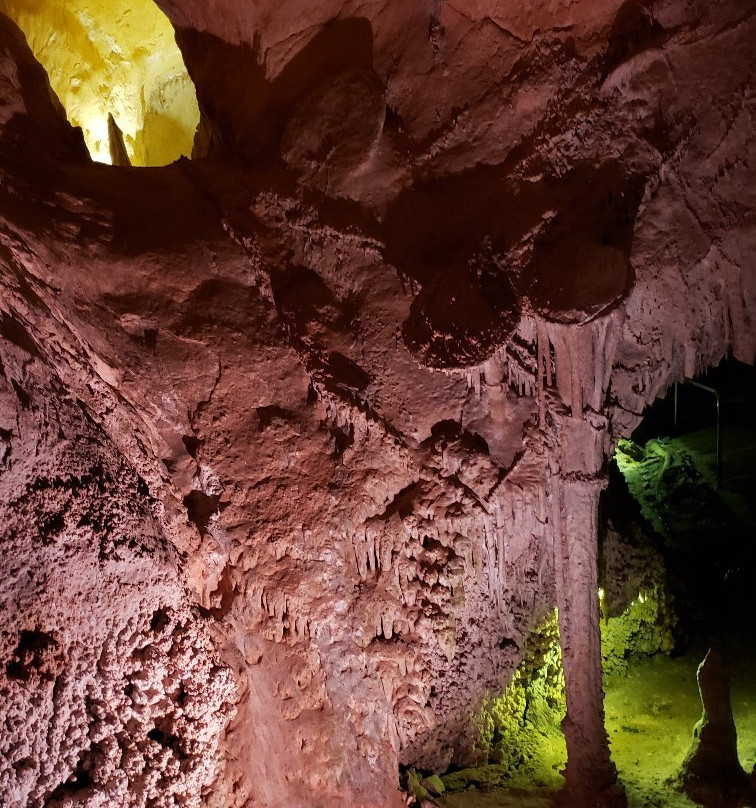 Lehman Caves Visitor Center景点图片
