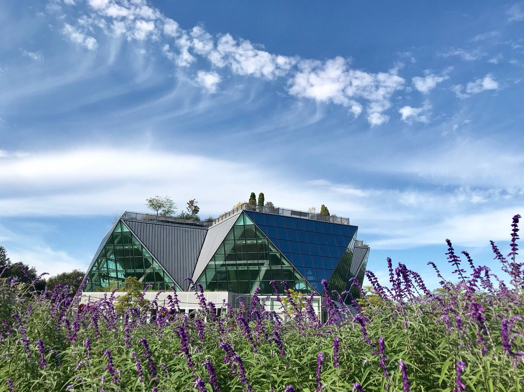 Flower Park Konan (Konan Kaki Engei Park)景点图片