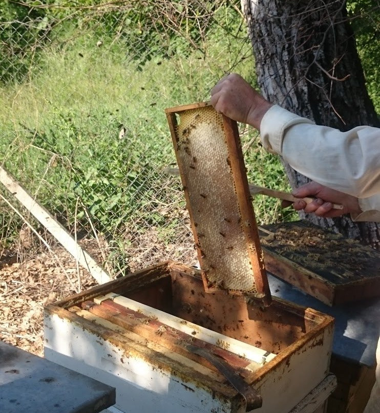 Zarapovo Honey House-Vishovgrad必去景点