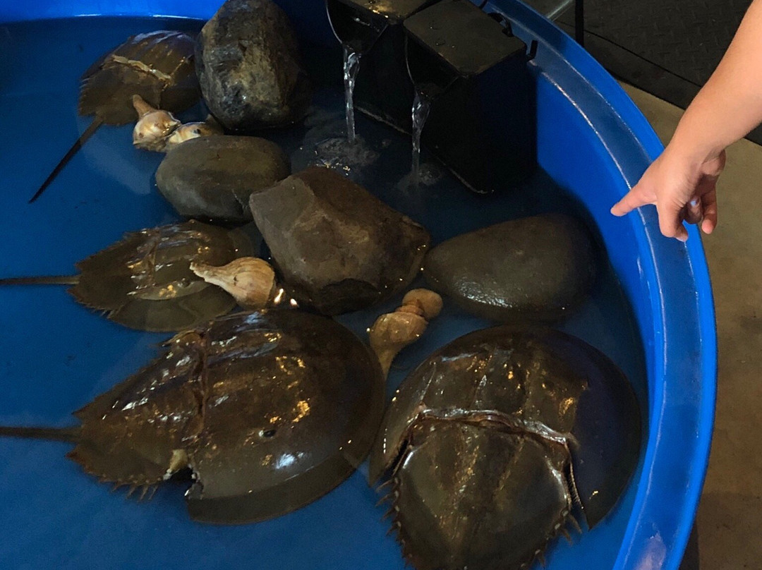 State Fair Of Virginia-多斯韦尔必去景点