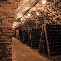 Champagne Michel Lenique景点图片