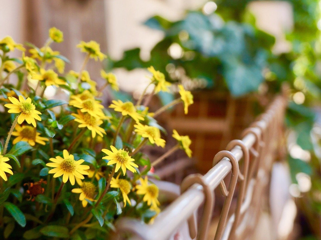 Landgasthof zum Goldenen Anker Eggenstein主图