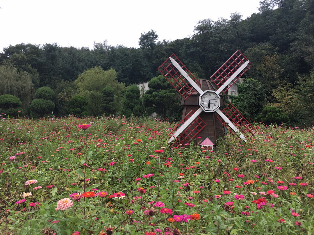 Bucheon Natural Ecological Park景点图片