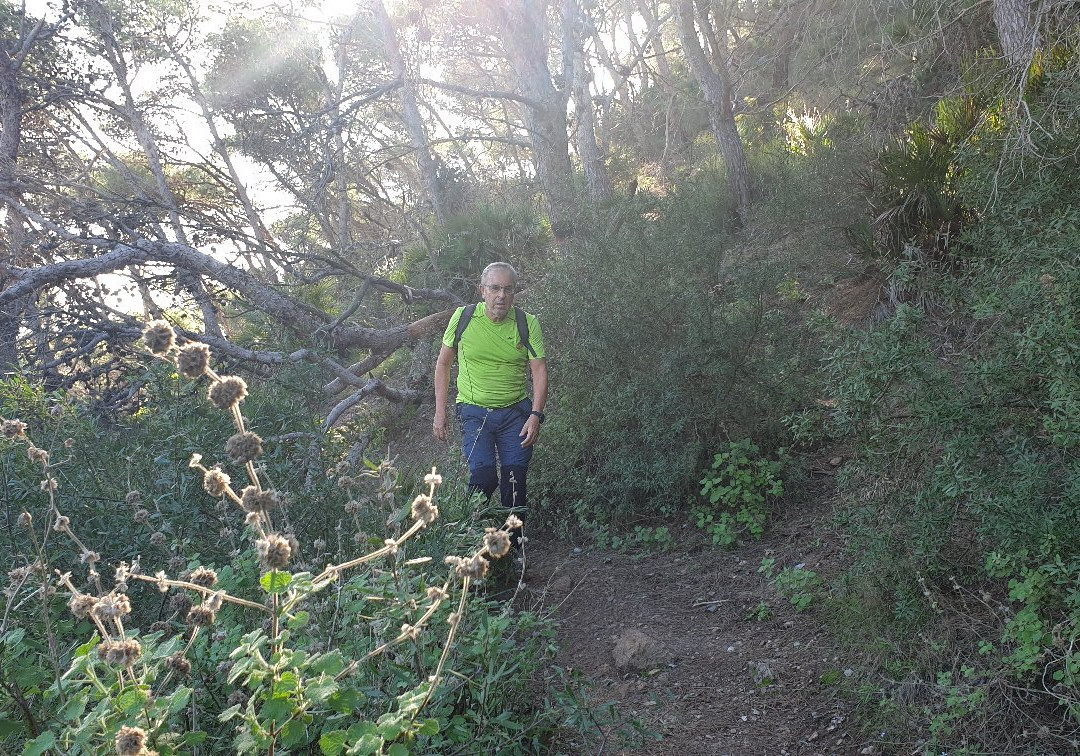 Collado de Atamaria