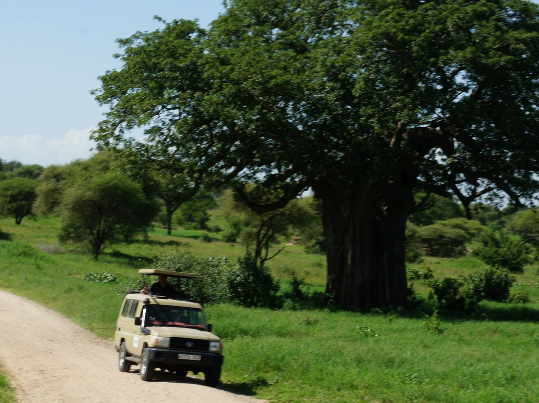 Tanga Wonders Adventures Tours & Safaris景点图片