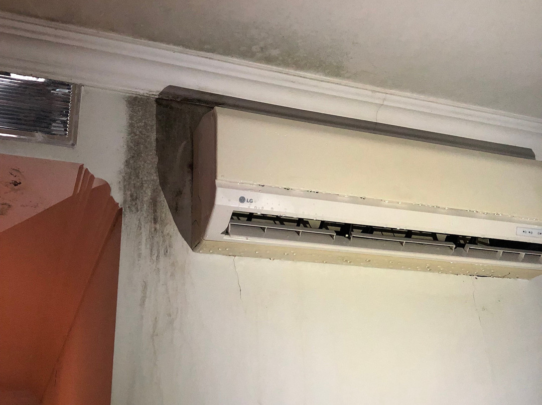 Luna Hotel Zombo主图