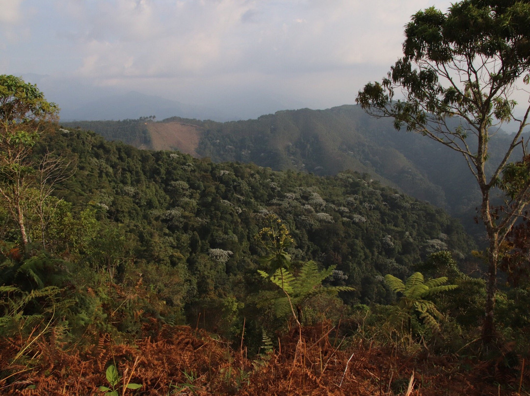 Reserva La Rivera-萨伦托必去景点