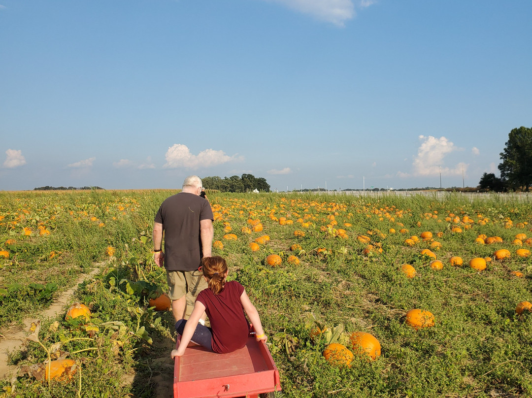 Ramseyer Farms-Wooster必去景点