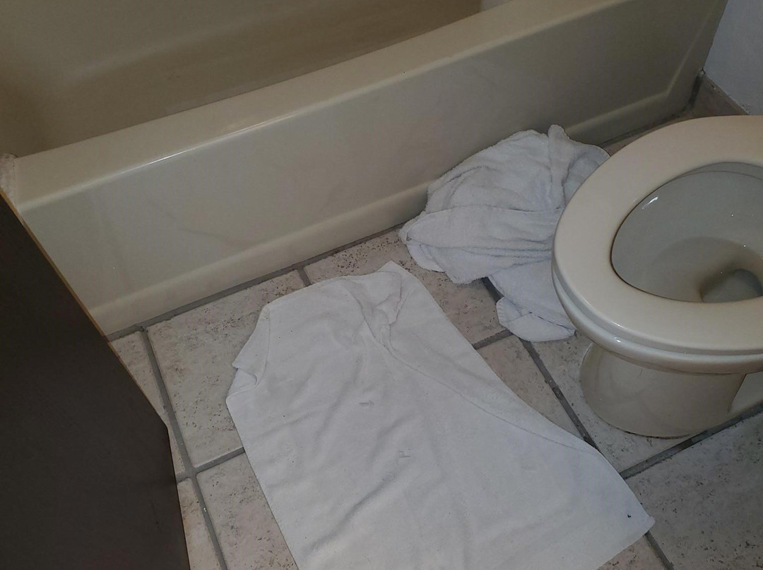 佩托斯基戴斯酒店主图