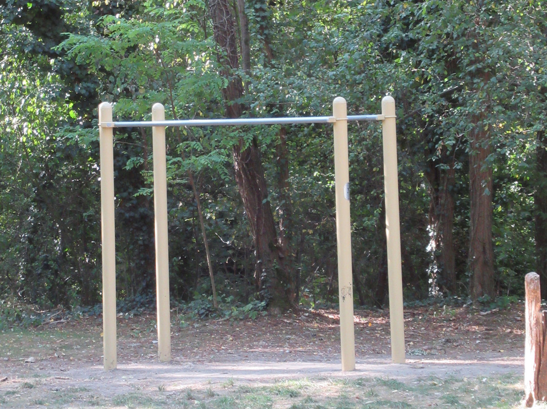 Parc des Coteaux d'Avron-讷伊普莱桑斯必去景点