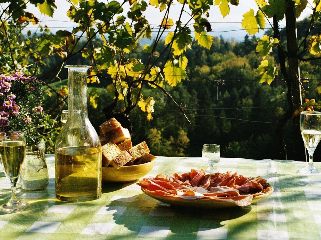 Prosecco Origins Wine Experience景点图片