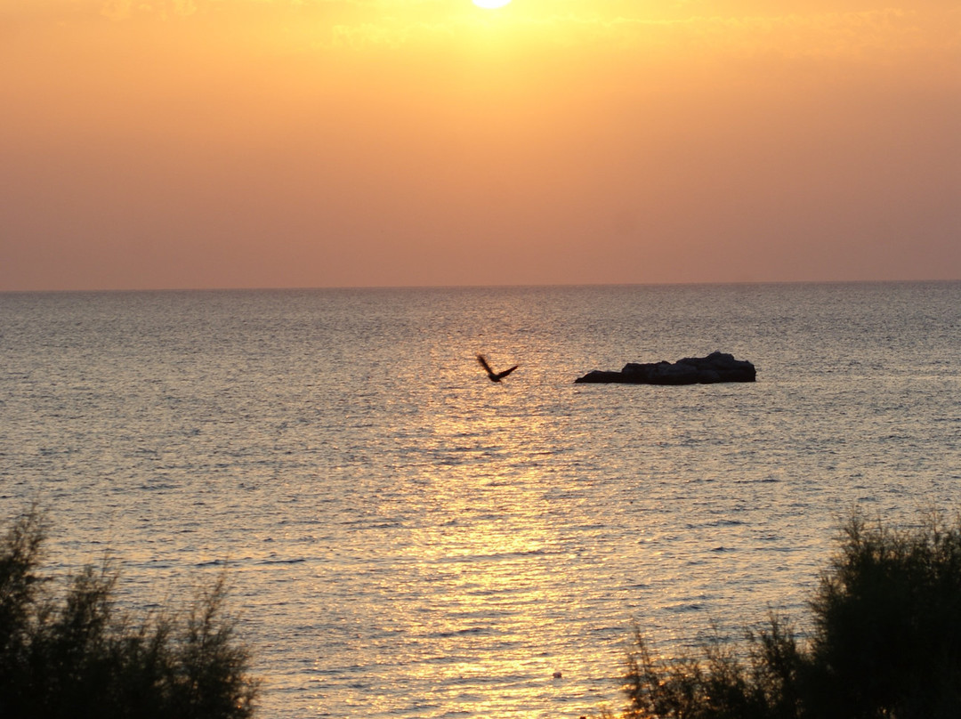 Lindos Aqua Terra主图