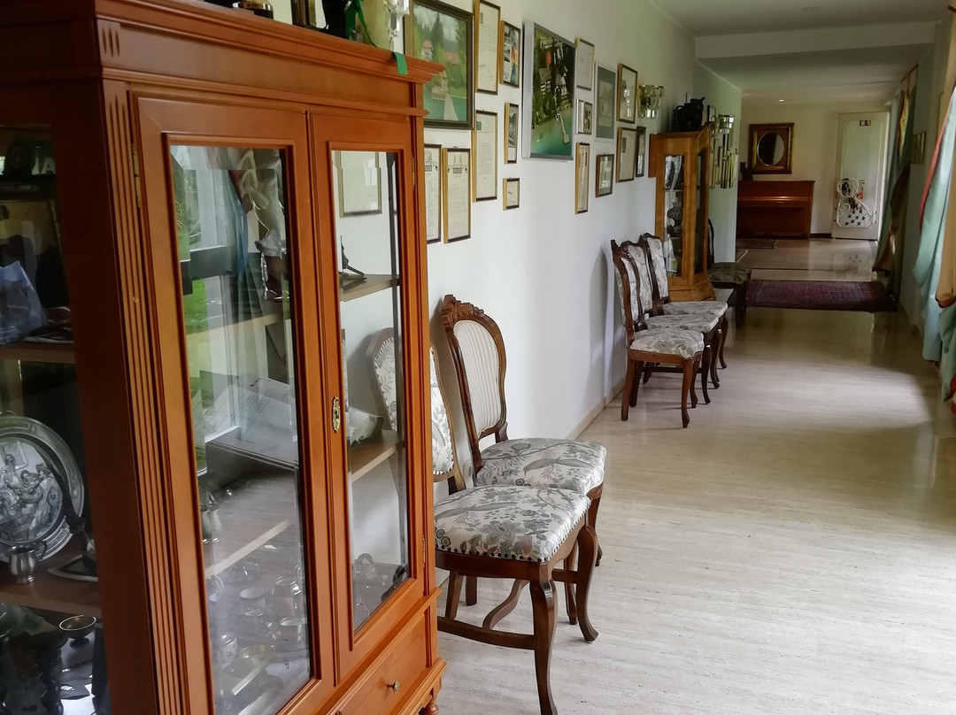 Amerika-Holzer Hotel & Resort主图