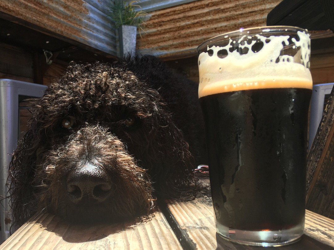 Topa Topa Brewing Company景点图片