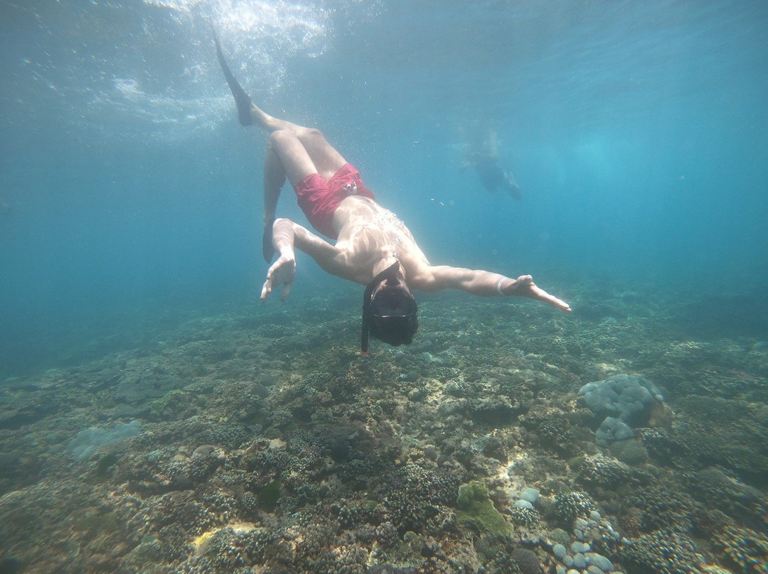 Penida Snorkeling Tour-克隆孔必去景点