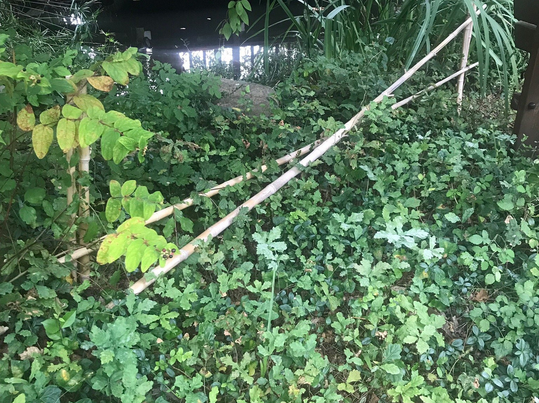 Arraigorri Landetxea主图