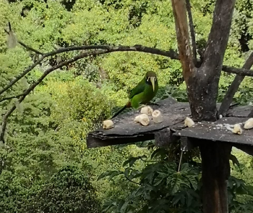 Costa Rica Itinerary景点图片