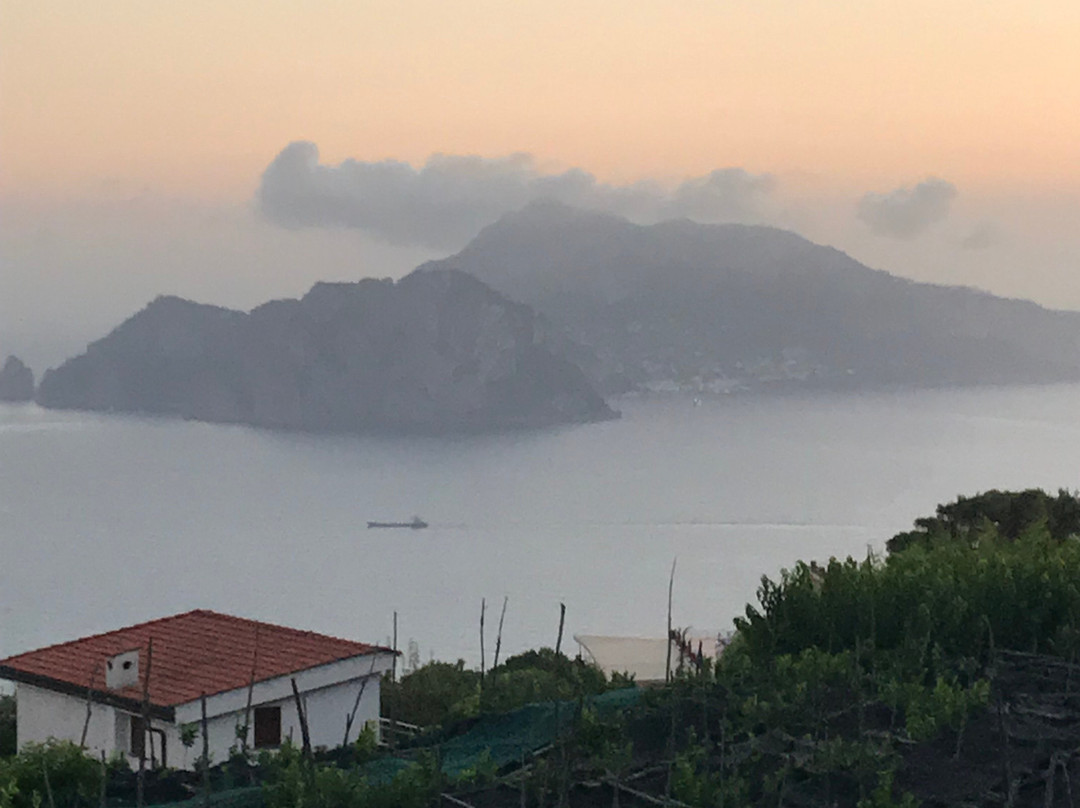 Gocce di Capri Hotel & Serviced Residence主图