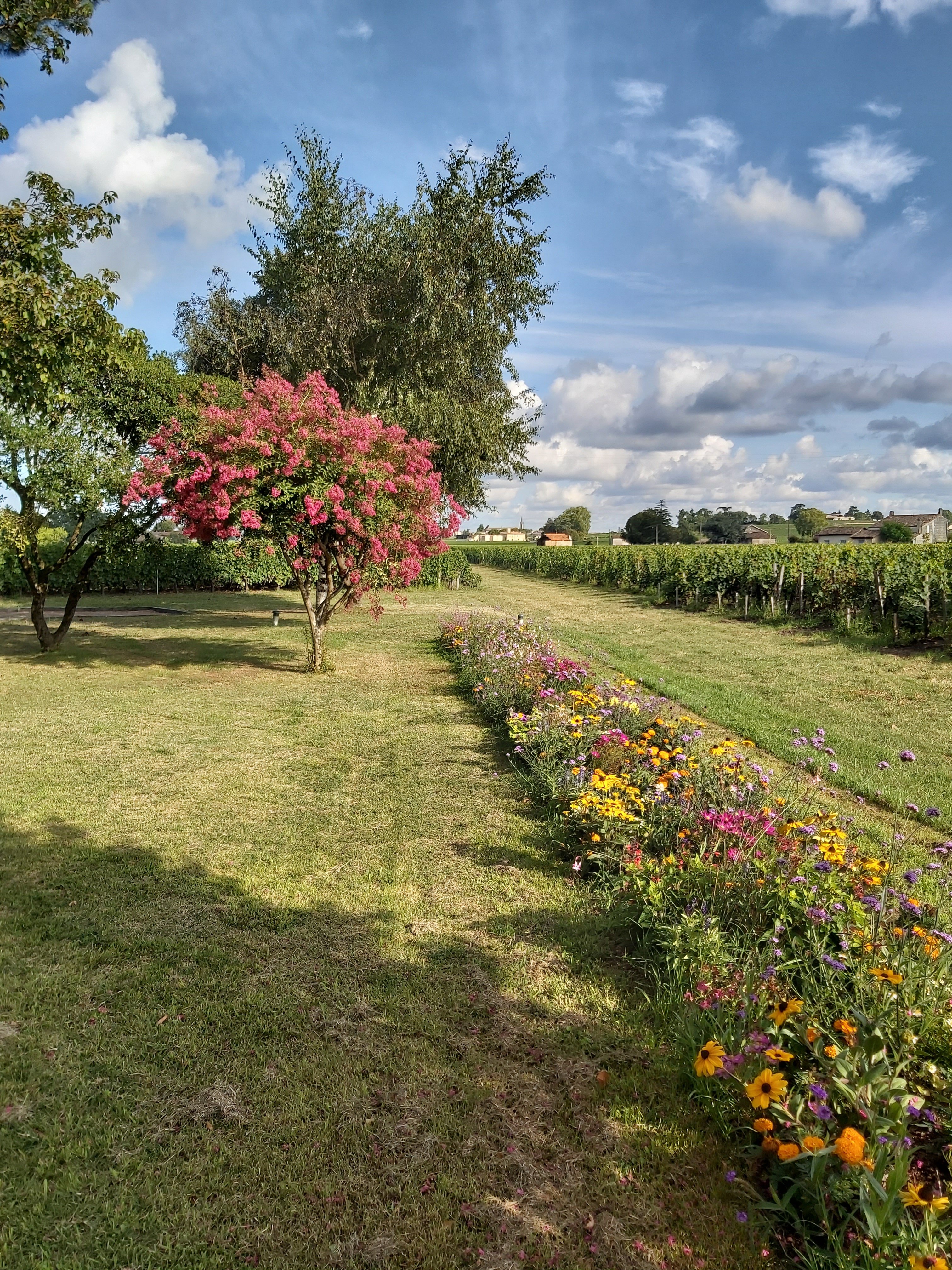Chateau Franc Grace-Dieu-浴室