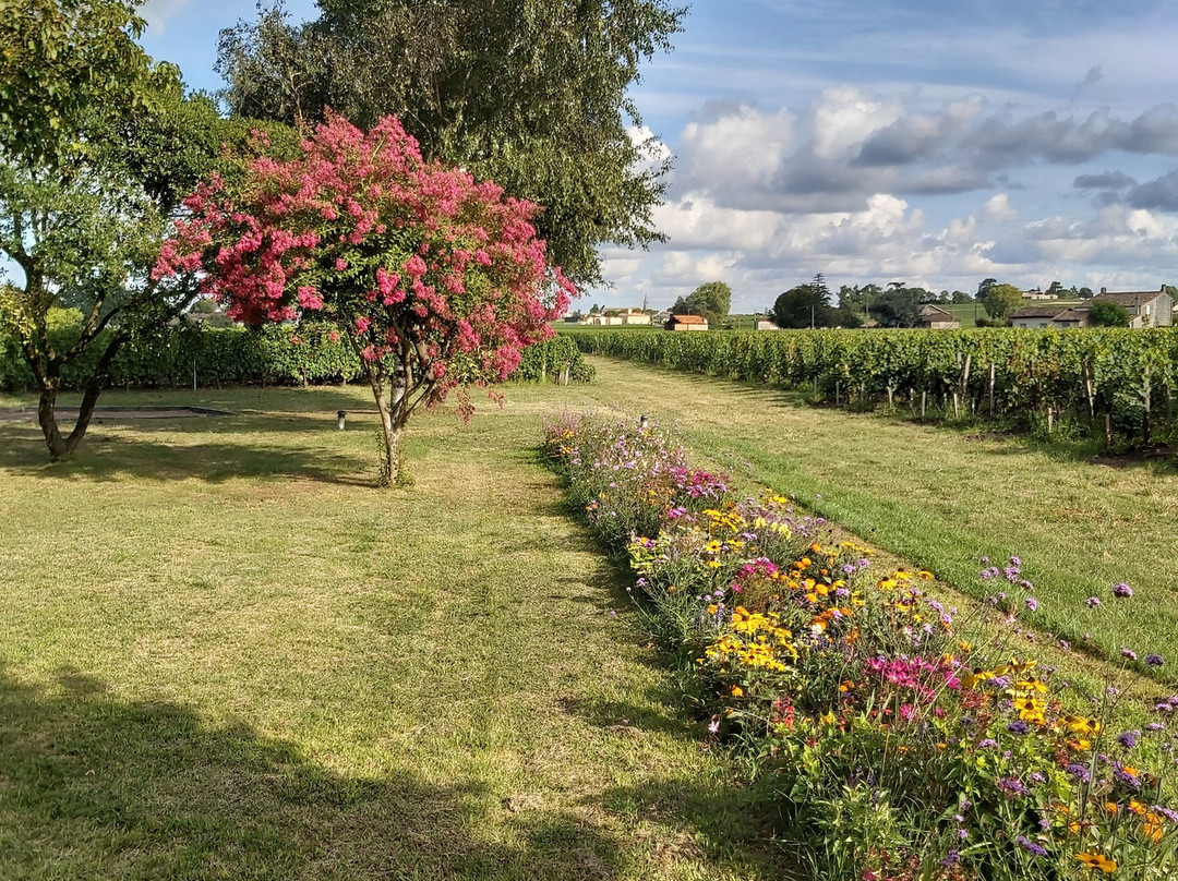 Chateau Franc Grace-Dieu主图