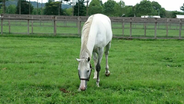 Big Red Farm-新冠町必去景点