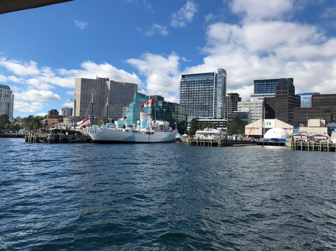 Harbour Hopper Tours-哈利法克斯必去景点