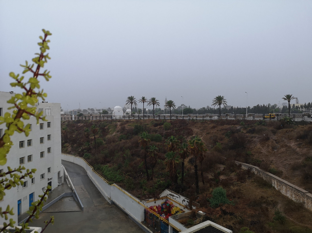 Regency Hotel & Spa主图