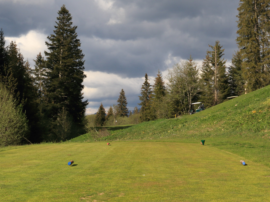 Golf Club Gstaad Saanenland景点图片