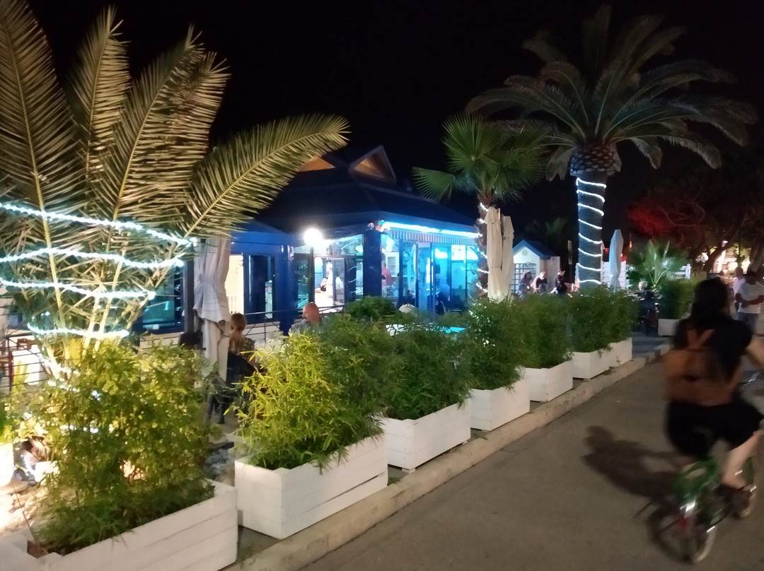 Hotel La Maestra主图