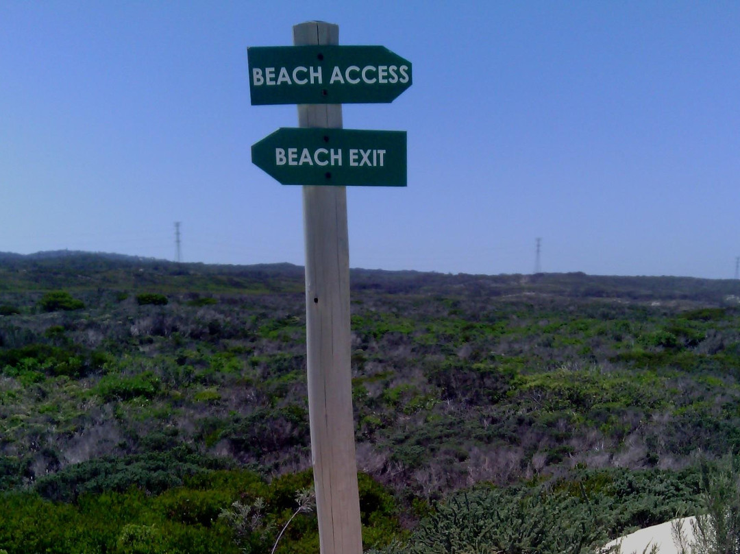 Guided Marine Tours - Port Elizabeth, South Africa-伊丽莎白港必去景点