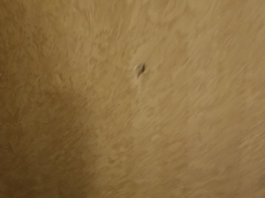 Travelodge by Wyndham Watertown主图