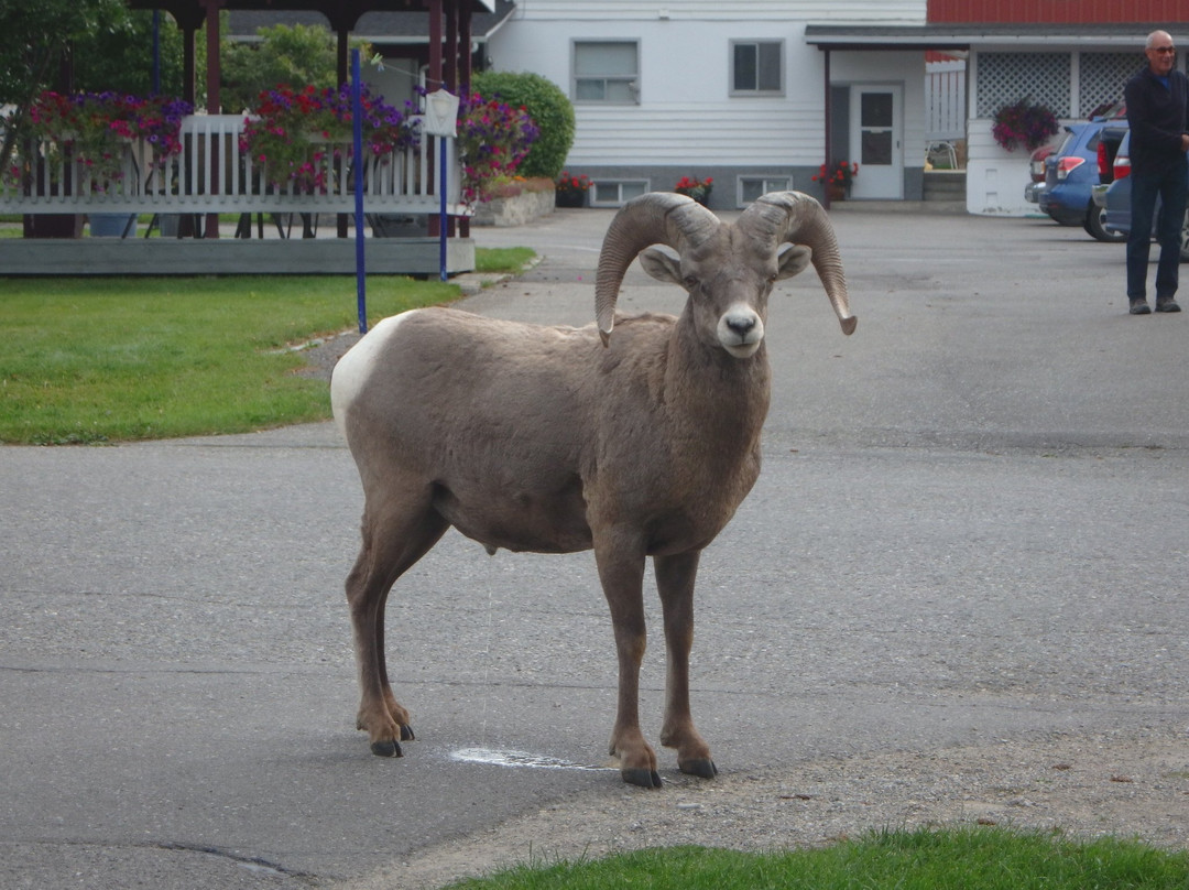 Crystal Springs Lodge主图