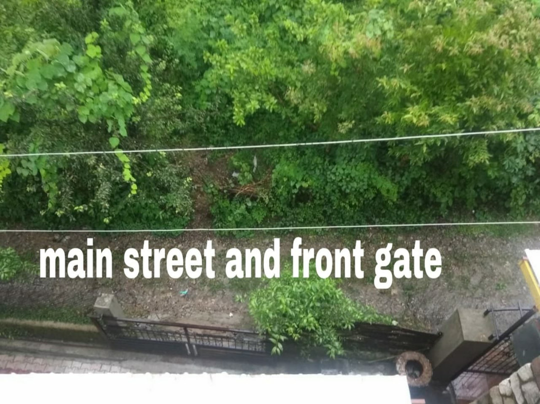 Midwood Breeze主图