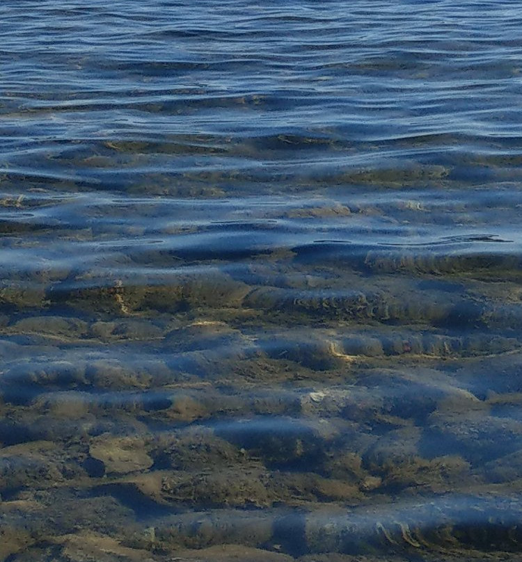 Wakeboard Cable Krk-克尔克岛必去景点