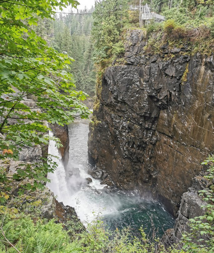 Little Qualicum Falls Provincial Park景点图片