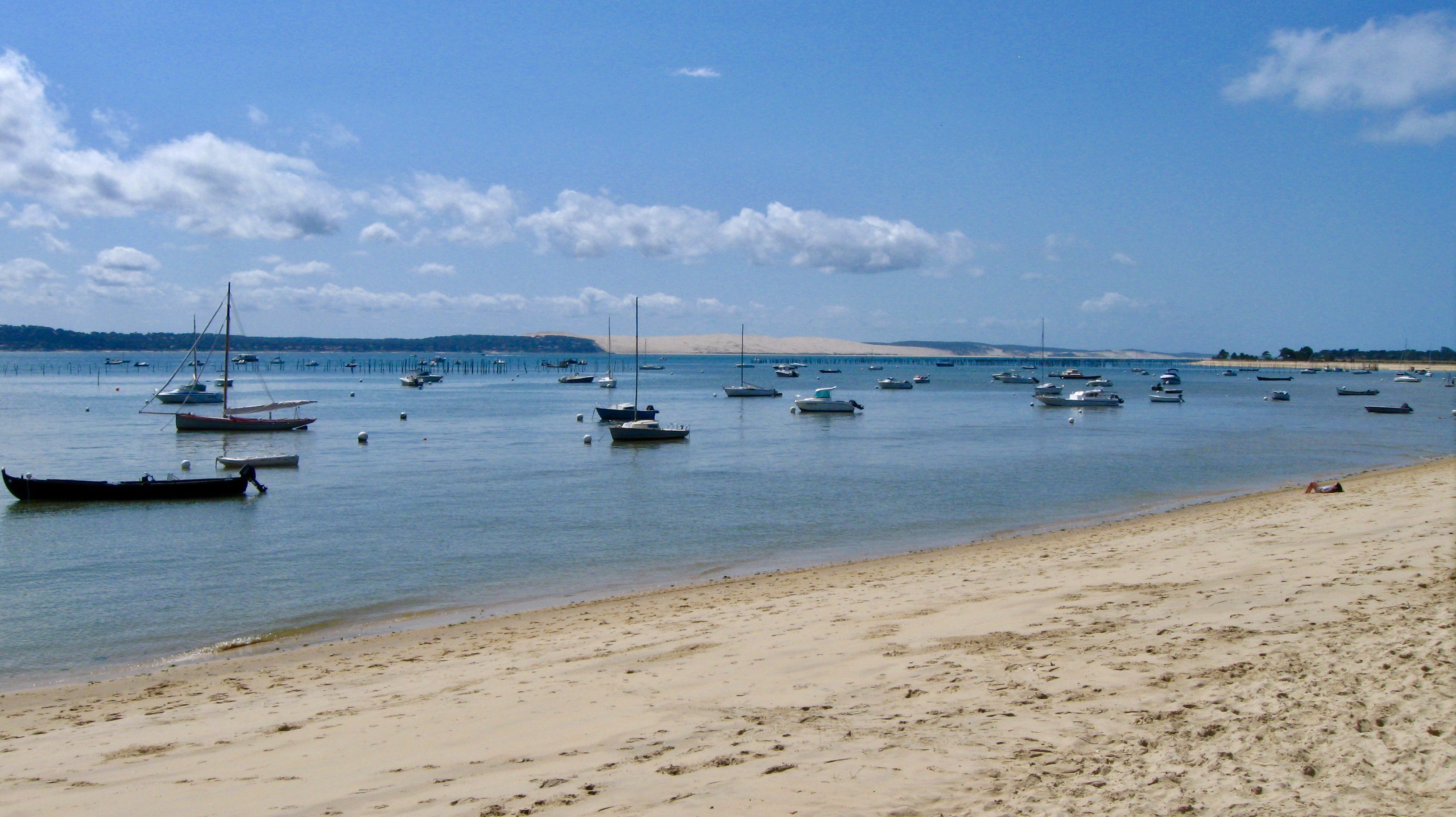 Hôtel Des Pins Cap Ferret-泳池