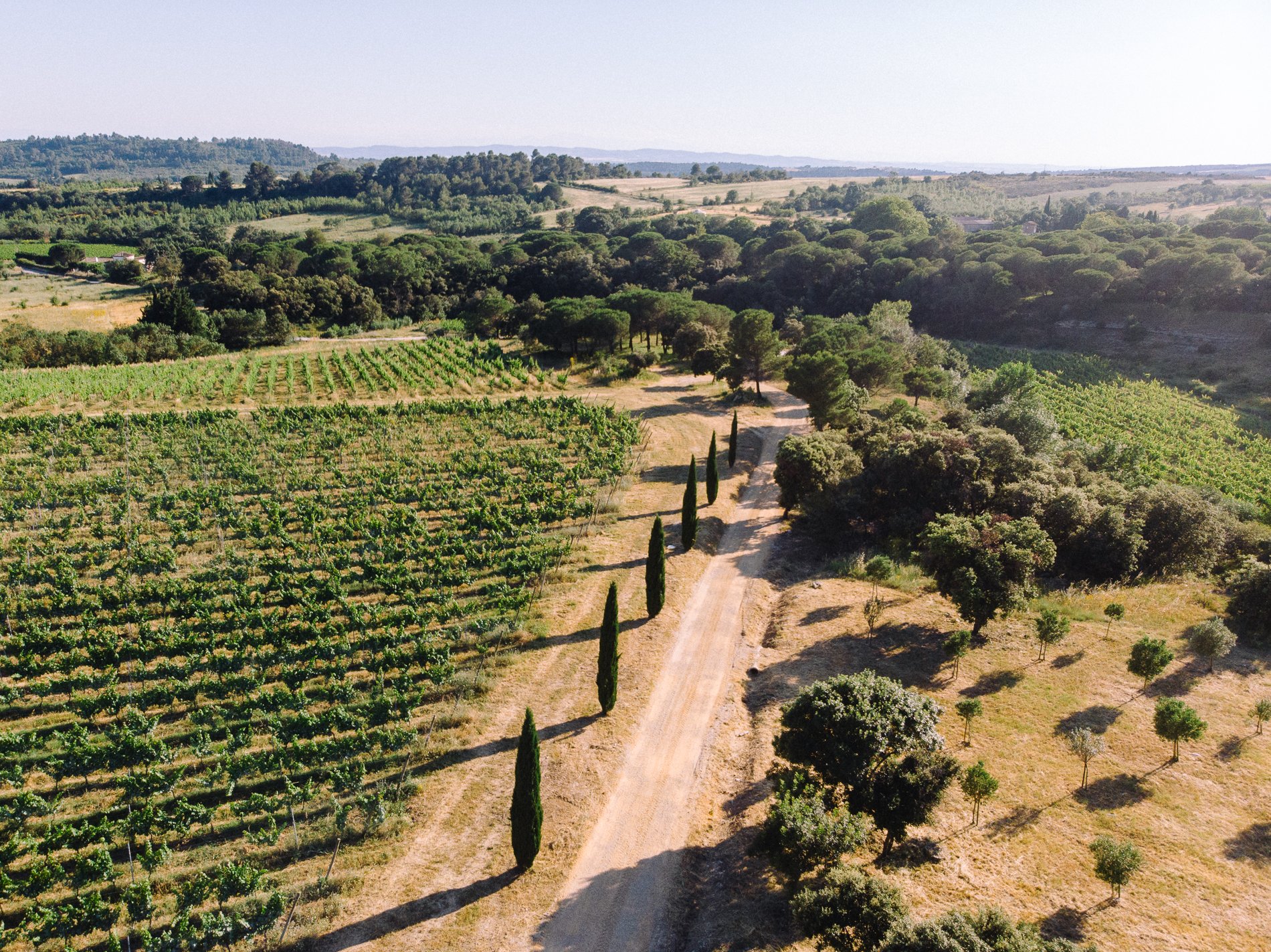 Domaine de Cazaban-官方