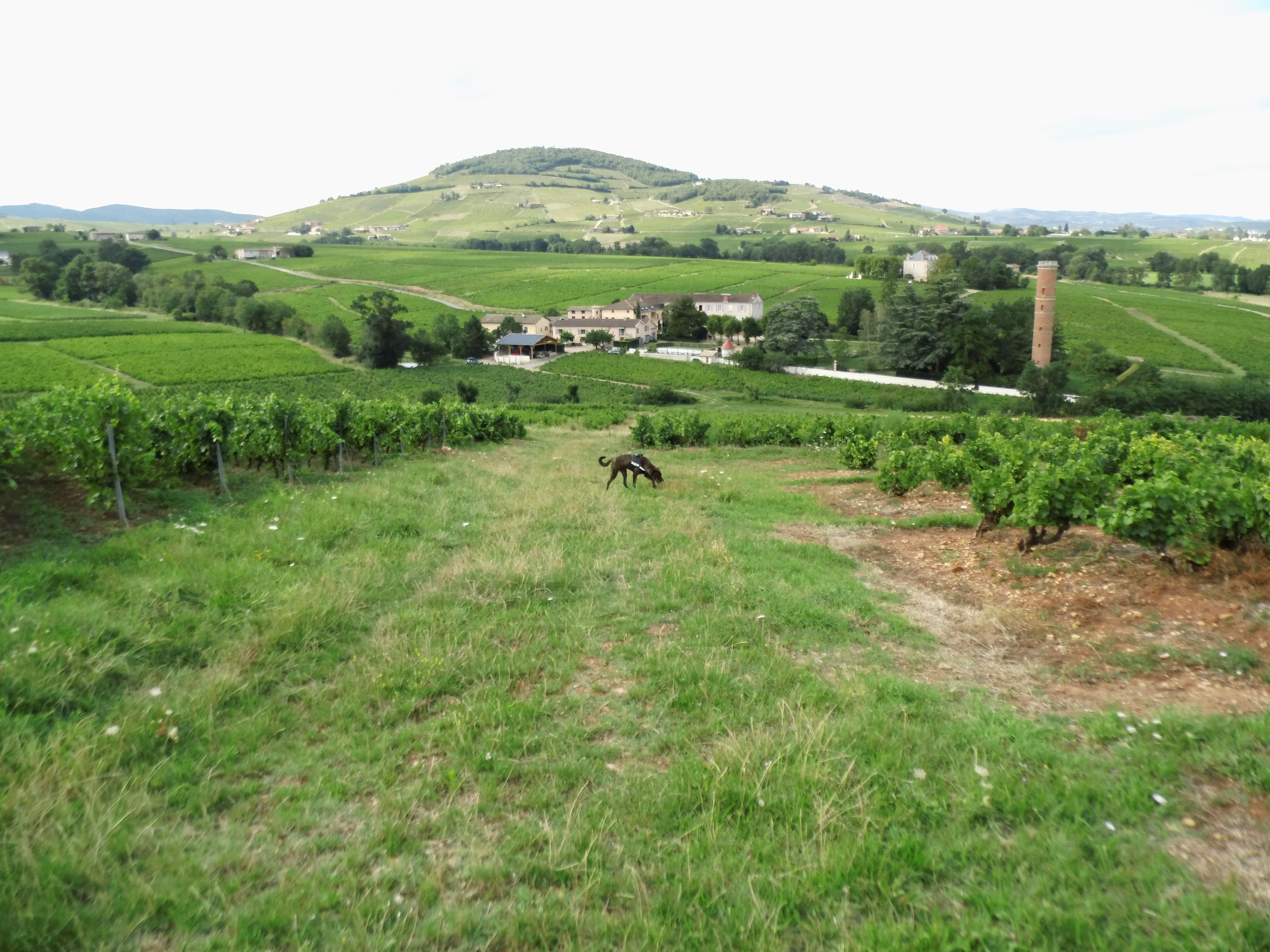 La Maison des Vignes-浴室