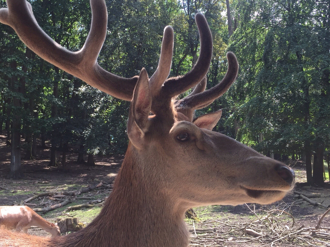 Berger-Denkmal-维滕必去景点