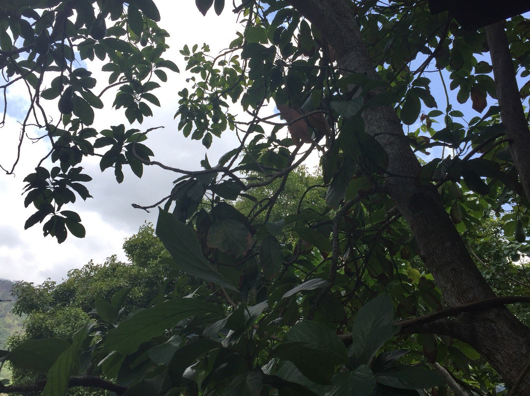 Eco Hotel Chayrama主图