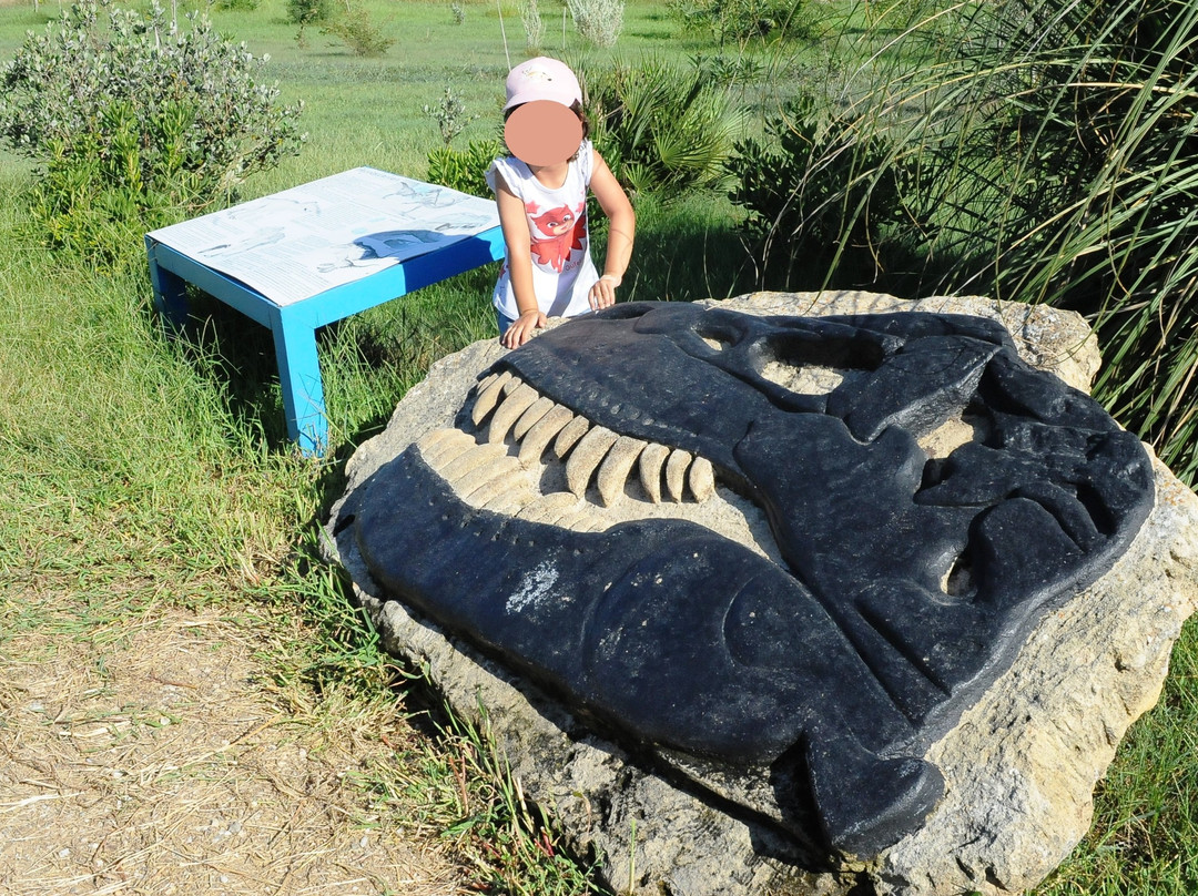 Parco Paleontologico Dinosardo-奥里斯塔诺省必去景点