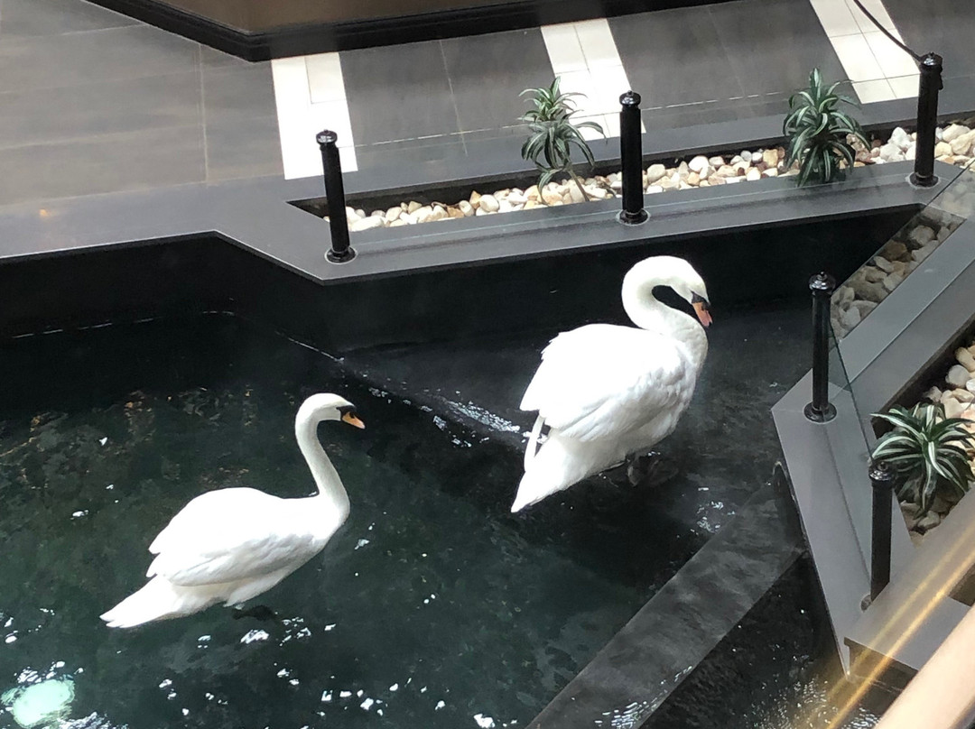 Embassy Suites by Hilton Dulles Airport主图