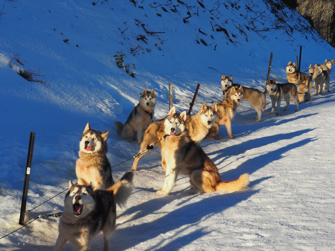 Enzian Hotel - Mt Buller主图