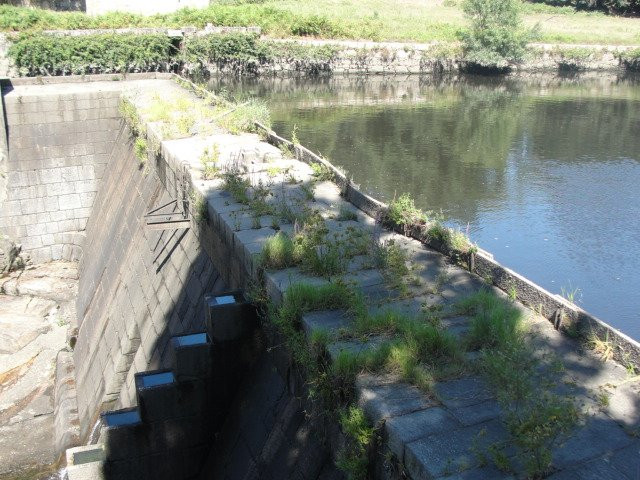 Parque Novo Amieiro Galego-Vila das Aves必去景点