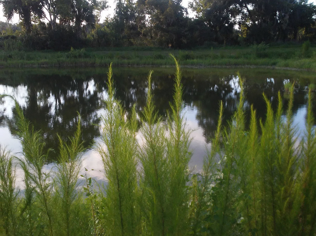 Central Park-奥蒙德海滩必去景点